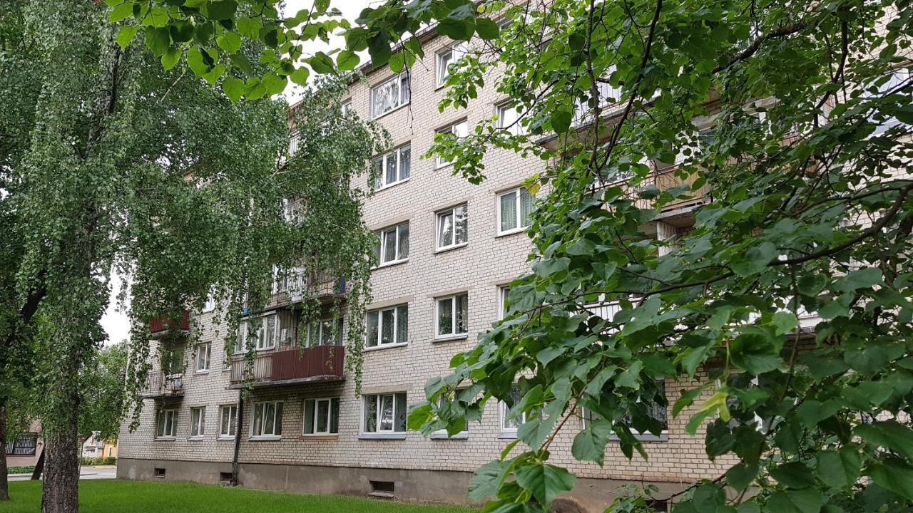 Anyksciai Cozy Studio Exterior foto